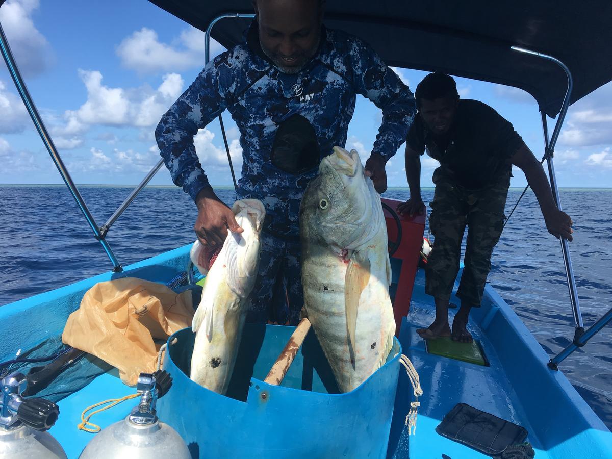 Marinabayvilla-Himandhoo Екстериор снимка